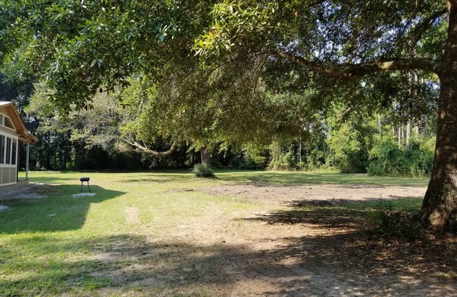 Ditch the shoreline concrete jungle for your private wooded getaway!