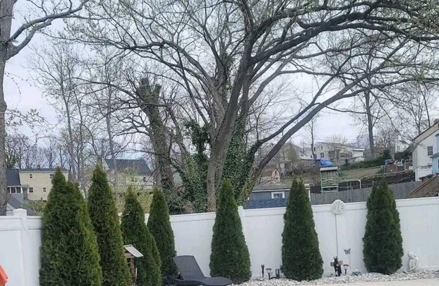 DMV Maryland, Washington DC FAMILY HOME