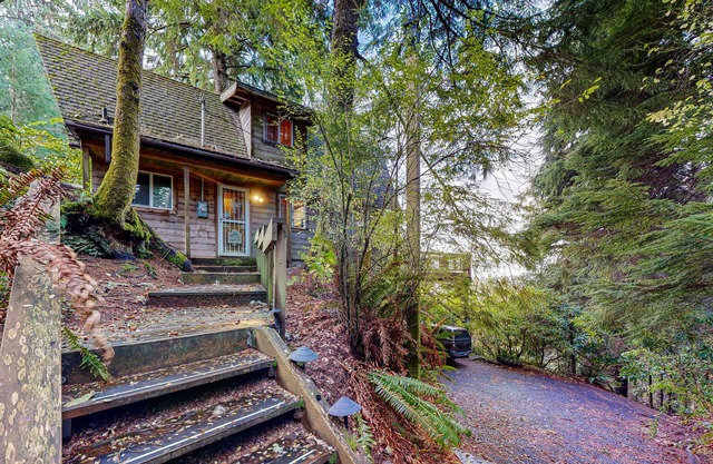 Dog-friendly cabin with ocean view, fast WiFi, fireplace, and washer/dryer