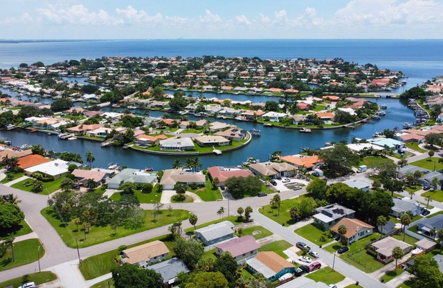 Dog Friendly St Pete Sanctuary