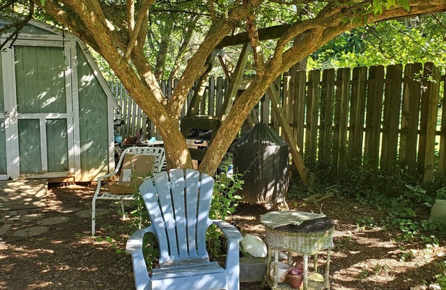 Dog/kid friendly house with fenced-in yard minutes from major attractions