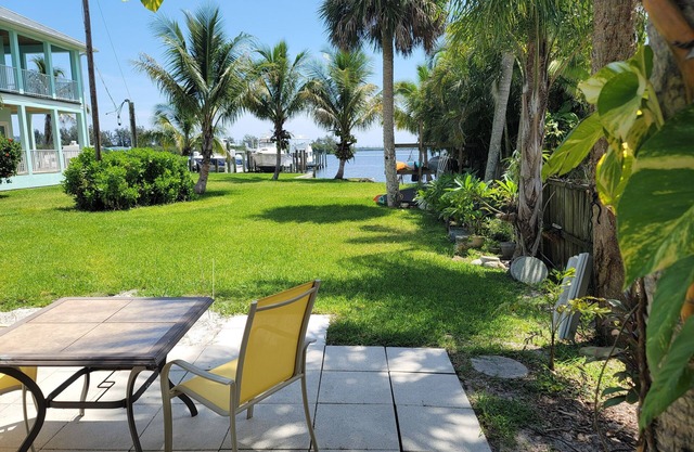 Dolphin Watch On The Indian River From Your Own Beach Or Dock!!!