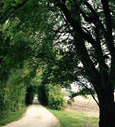 Domaine Le Rolant