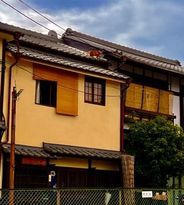 Dormitory Omitsu