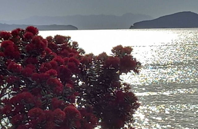 Double private bedroom, five minutes to the beach and cafes,