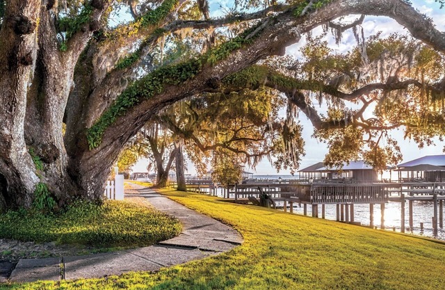 Down By The Bay, Just across the street from the Fairhope Pier