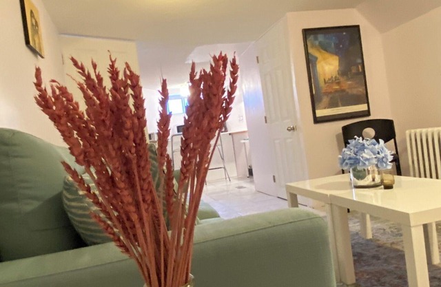 downtown 1 bedroom basement apartment with exclusive backyard