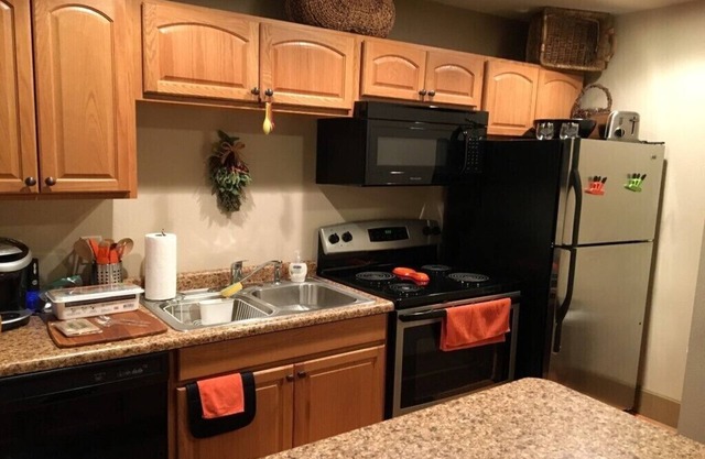 Downtown Spacious 1 bedroom