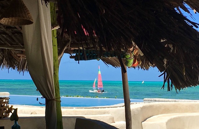 Driftwood Beach Lodge