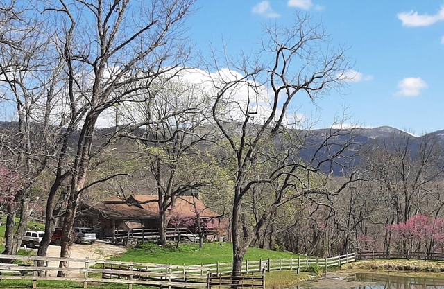 Eagle Log Cabin at Mountaintop Ranch bordering Shenandoah National Park