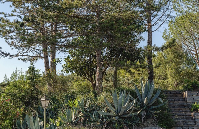 East-facing hideaway for 4: AC, WiFi, Pool, Tennis, Spa, and tranquil charm ★