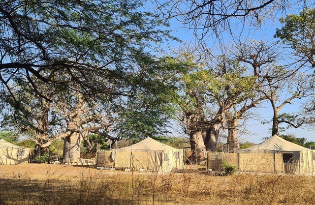 Ecolodge BAKSUNGAN