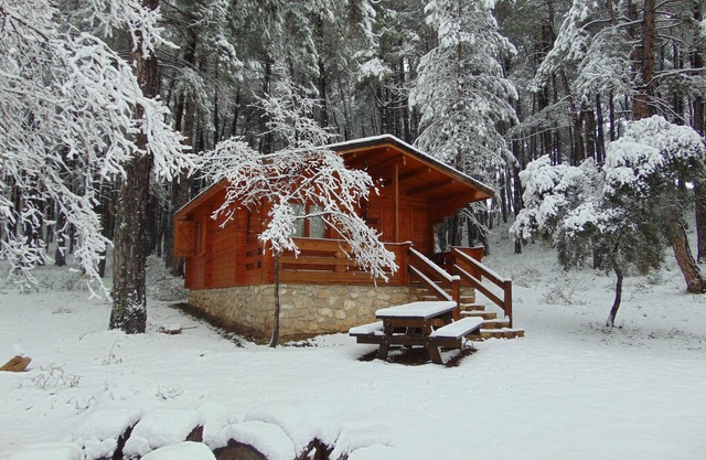 El Llano de los Conejos Cabins - Cabin 5