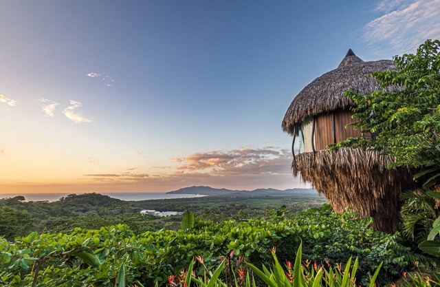 El Nido Cocoon Tamarindo