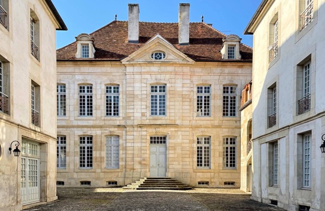 Elegant Apartment in a 17th-Century Mansion with AC – Heart of Semur-en-Auxois