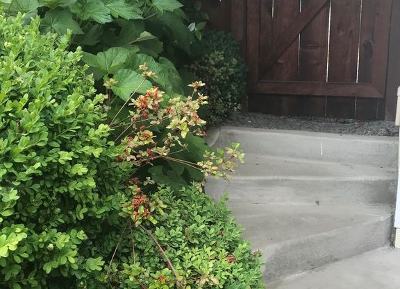 Elegant, historic cottage 1 1/2 blocks to downtown; 6 blocks to OSF.