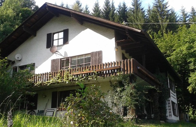 Eleven True Elves. Haus in Forest.