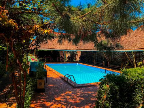 Elite Backpackers Services