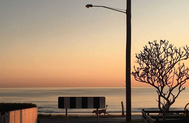 Eliza on the Beach - Beachfront Coastal With Ocean Views - Min. 3 Night Stays!