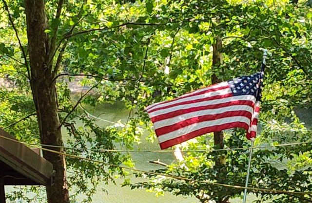 Elk River Cabin- Fisherman and Kayakers dream! Pet Friendly!!!