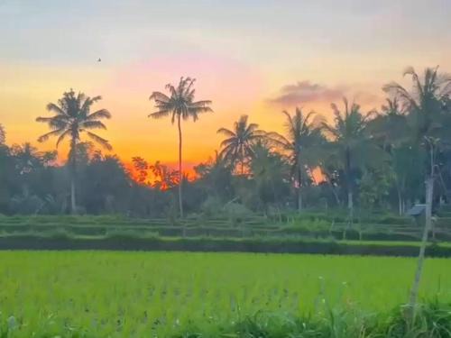 Eltari Homestay