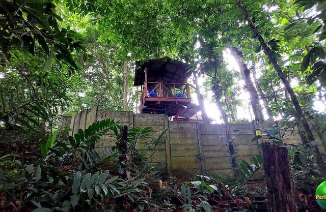 En Hostel Perla Verde, Sarapiquí te Sentirás Como en Casa en Medio del Bosque