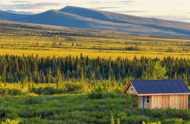 End of Stampede Dry Cabin, Near Denali