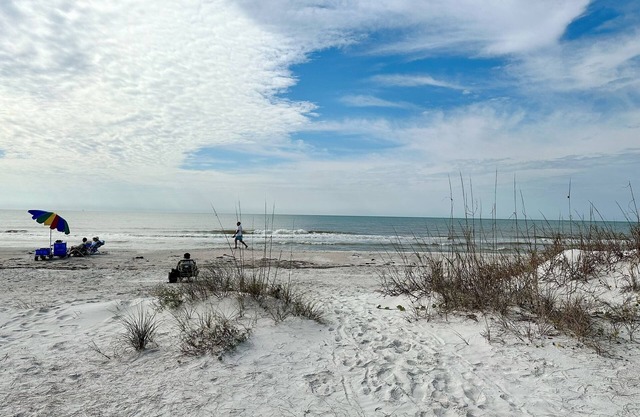 Endless Summer on the Beach