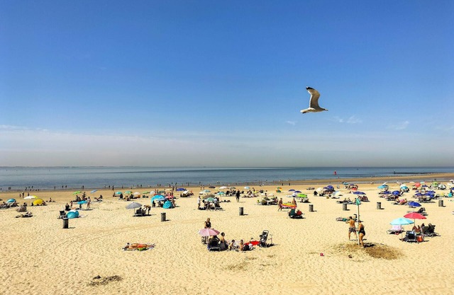 Enjoy a relaxing holiday by the sea in this holiday apartment.