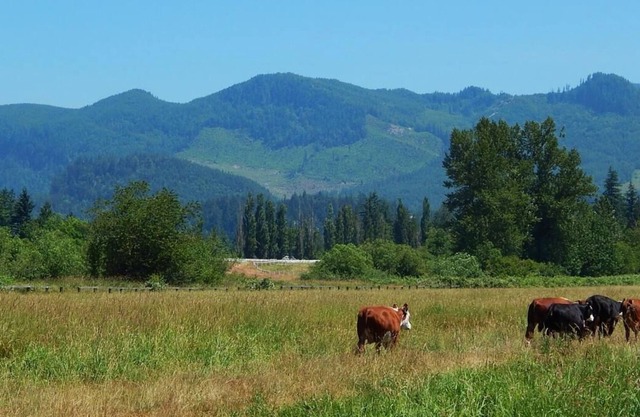 Enjoy The Great Outdoors at GuestHouse Enumclaw! Pet-friendly, Free Parking