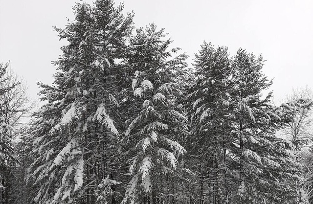 ENTIRE APARTMENT (2nd floor) OF THE CHALET FOR RENT