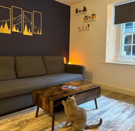 Entire Apartment in Dublin