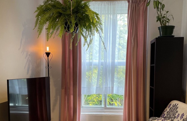 Entire apartment in the heart of the plateau