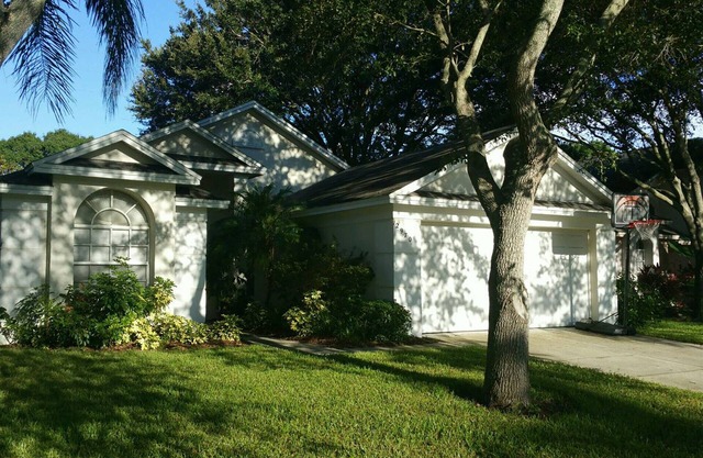 Entire home in Palm Harbor that’s quiet & cozy.