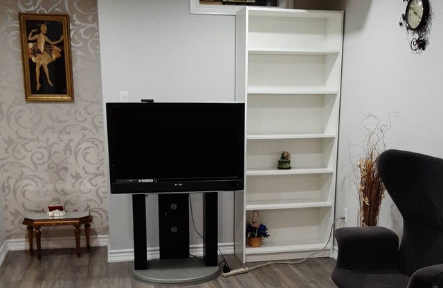 Entire lovely basement with parking and wifi