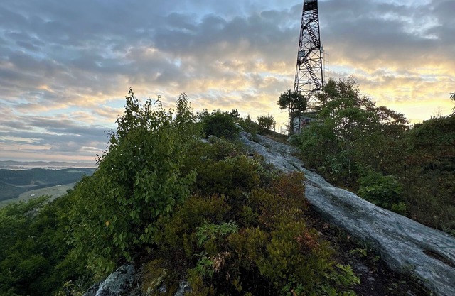 Epic Hawk Watching Fire Tower-Fall Migration Hotspot and Outdoor Adventures!
