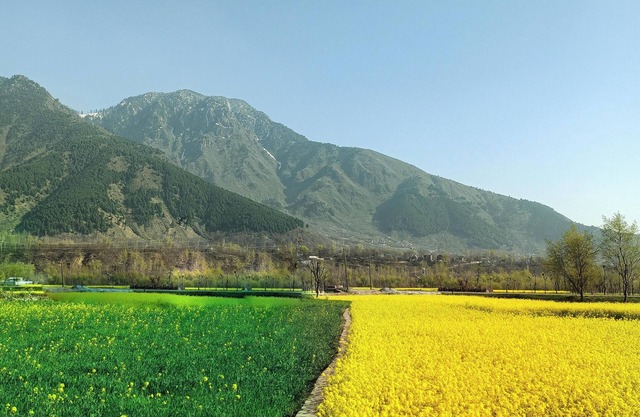 Escape to our Bothell Rooms near I-405 and Seattle !