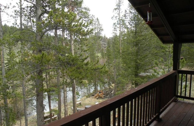 Escape to River Song Refuge~On the N. Fork of the Cache la Poudre River!