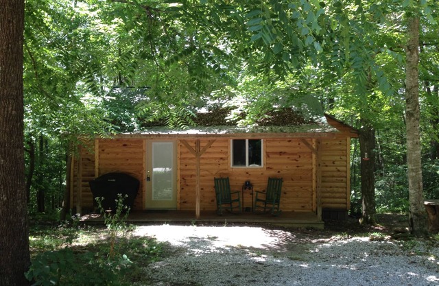 Escape to the Wild & Scenic Daniel Boone National Forest in London, Kentucky!