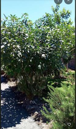 EsMash Studio Machine lanet Nakuru