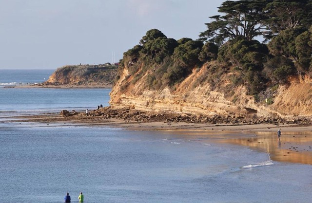 Espy 2 - Just a Short Stroll to Torquay's Best!