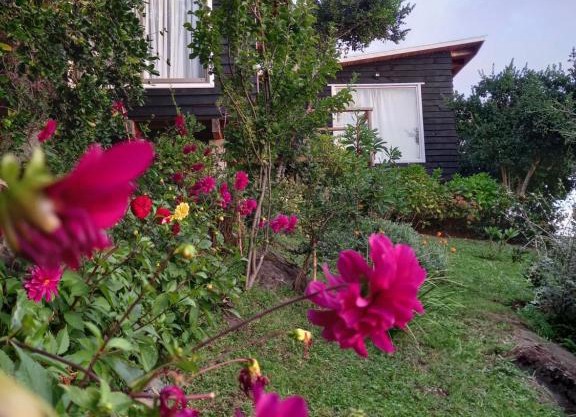 ESTANCIA LOS BOLDOS