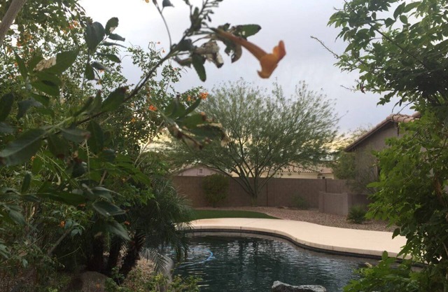 Estrella Mountain Oasis-Something for everyone!