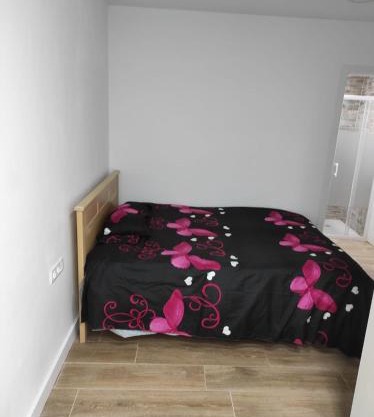 Estudio en Elche