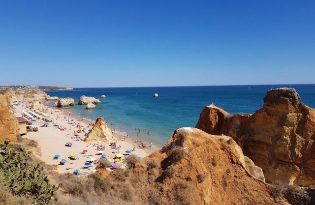 Everything You Need For The Perfect Vacation! 3 Onsite Pools & Spa, Free Parking