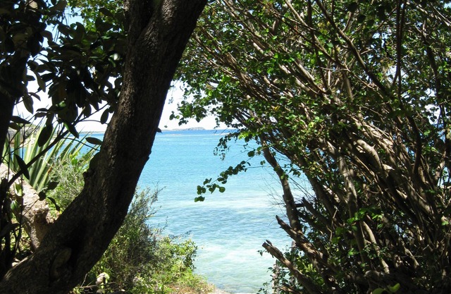 Experience Island Living In A Tranquil Seaside Setting!