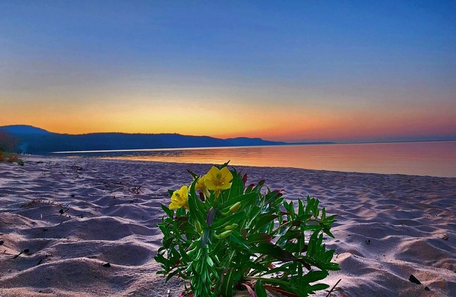 *Experience Relaxation at our Lakeside Retreat and First-Class Ski Resort*