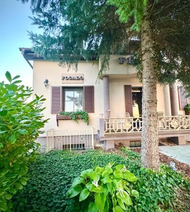 Fészek Fogadó - Pension Nest