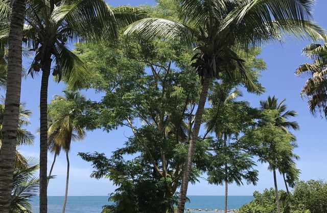 Fabulous Beach Front Condo. Perfect for a romantic weekend.