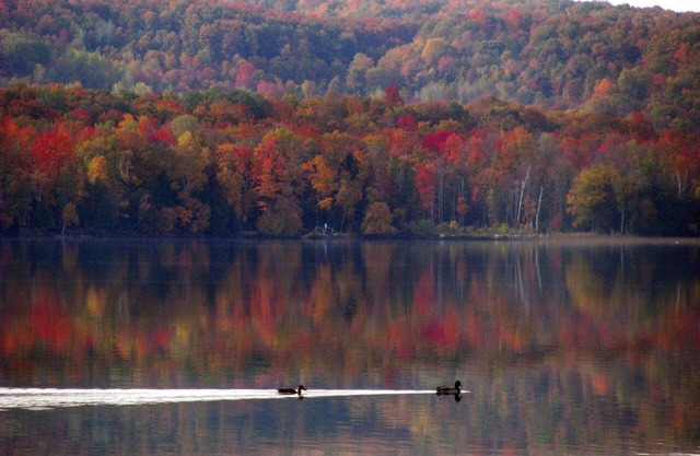 Fall Foliage Getaway on Pickerel Lake – Cozy Cottage Retreat
